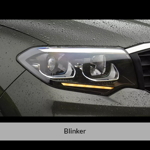 ScorpioN-Ext11-300x300